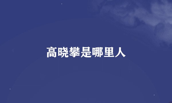高晓攀是哪里人