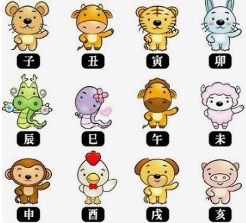 霞光万道指什么生肖动物