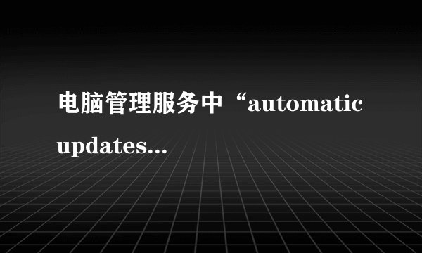 电脑管理服务中“automatic updates”没有怎么办？