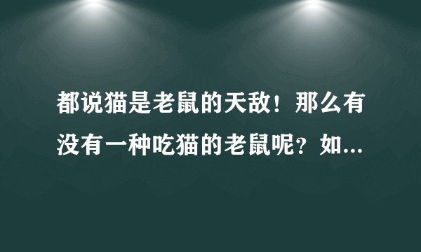 都说猫是老鼠的天敌！那么有没有一种吃猫的老鼠呢？如果有，它是什么品种呢？
