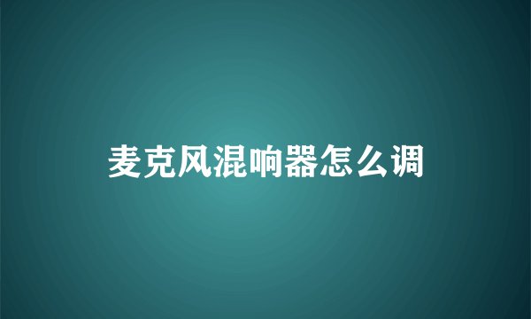 麦克风混响器怎么调