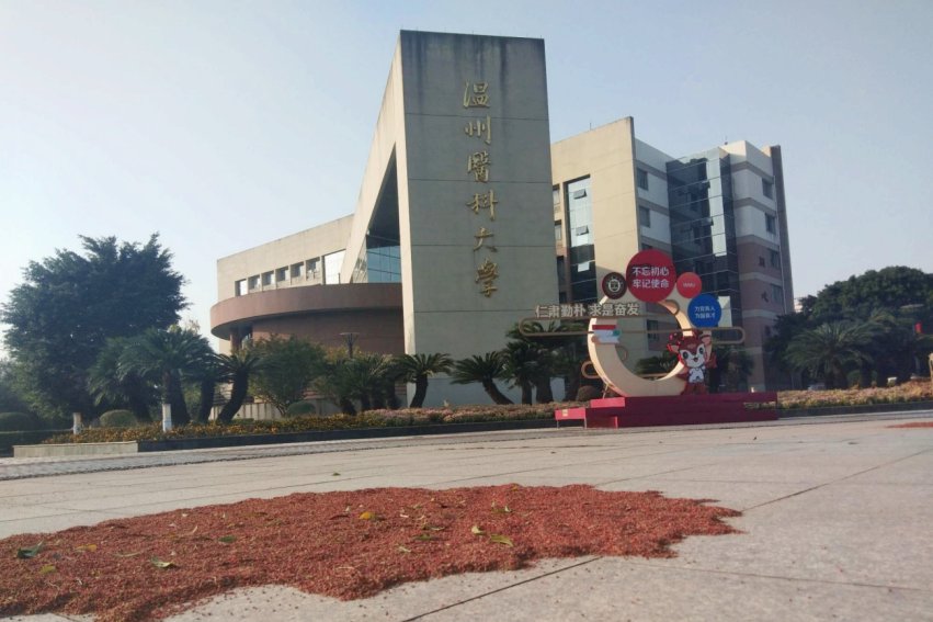 2023年温州医科大学浙江分专业录取分数线