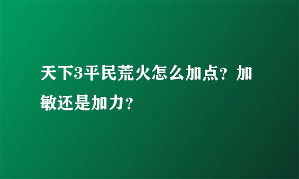 天下3平民荒火怎么加点？加敏还是加力？
