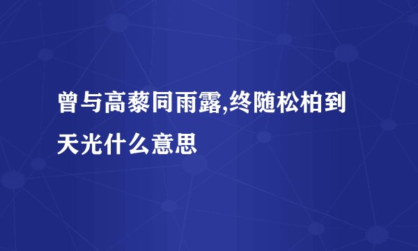 曾与高藜同雨露,终随松柏到天光什么意思