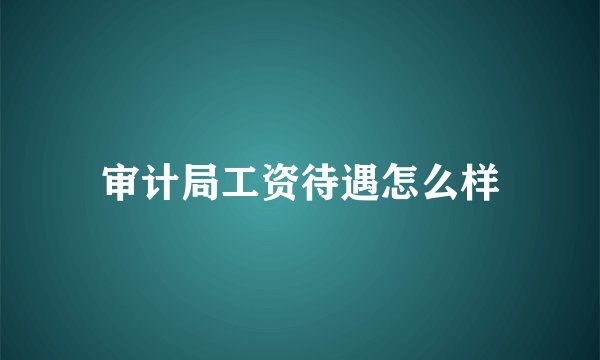 审计局工资待遇怎么样