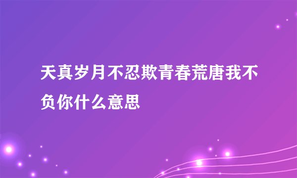 天真岁月不忍欺青春荒唐我不负你什么意思