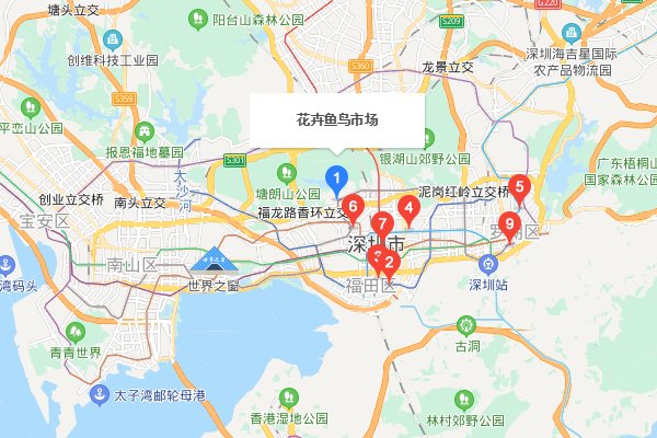 深圳哪里有宠物市场?