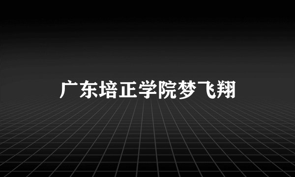 广东培正学院梦飞翔