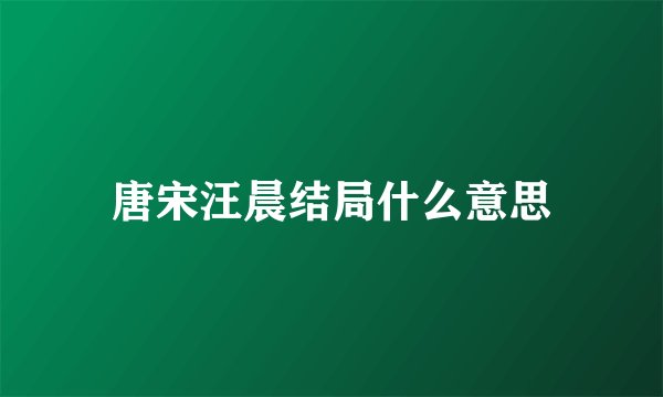 唐宋汪晨结局什么意思