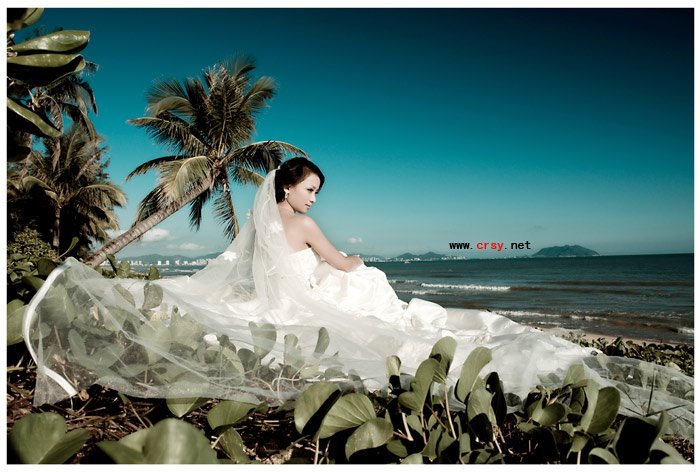 纯然视觉三亚婚纱摄影工作室的公司简介