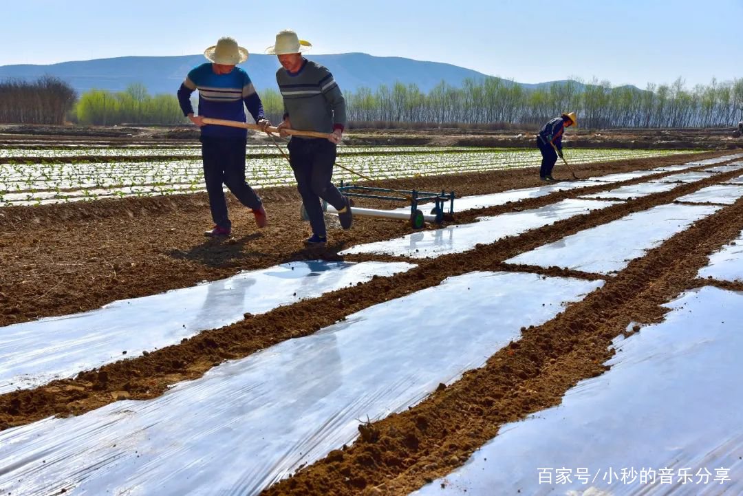 应种尽种，一亩地也不撂荒，如何才能稳住农业生产？