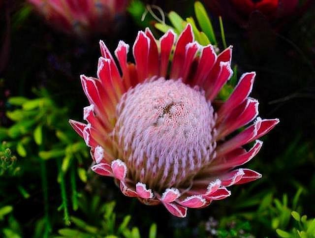 已经拥有哪几样东西的中年人，说明他非龙即凤？