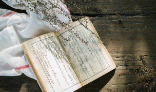 过墙妻是什么意思，从良女不娶过墙妻是什么意思