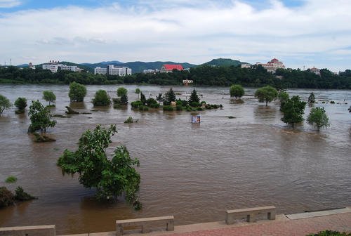 松花江哈尔滨段所有船舶停航的原因是什么？
