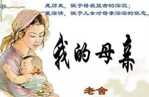 老舍的兔主要讲了什么？