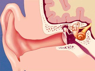 鸣笛的含义是什么？