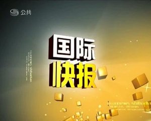 淘宝10.11事变的介绍
