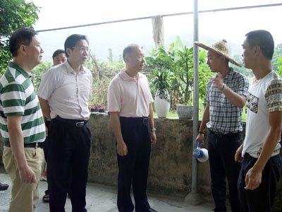 林壮森的工作经历