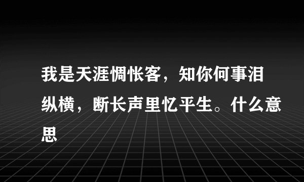 我是天涯惆怅客，知你何事泪纵横，断长声里忆平生。什么意思