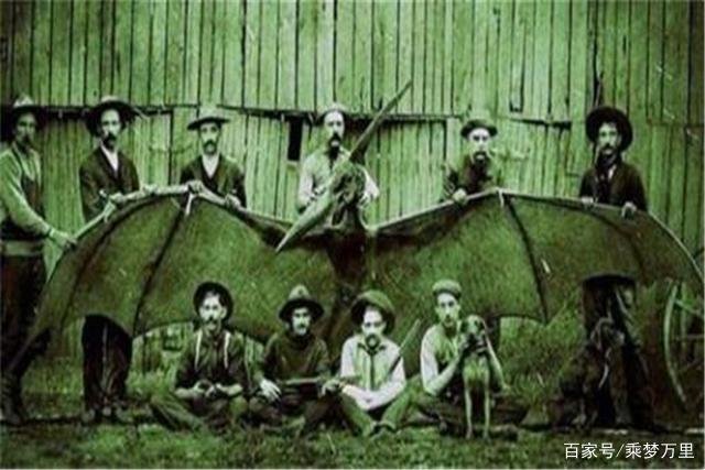 1864年美国曾遇到“翼龙”还留下了一张合影，难道恐龙没有消失吗？