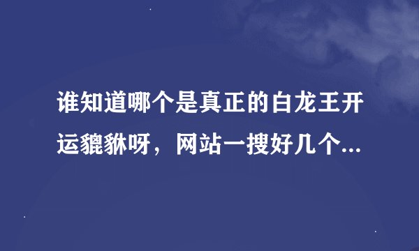 谁知道哪个是真正的白龙王开运貔貅呀，网站一搜好几个，不知道哪个是真的