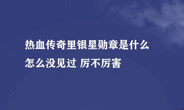 热血传奇里银星勋章是什么 怎么没见过 厉不厉害