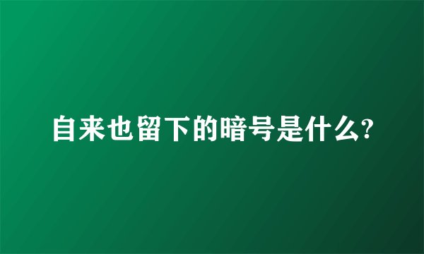 自来也留下的暗号是什么?