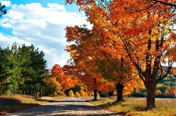形容夏天到秋天唯美句子