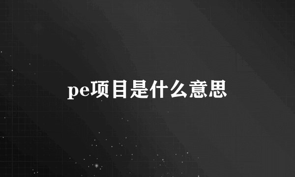 pe项目是什么意思