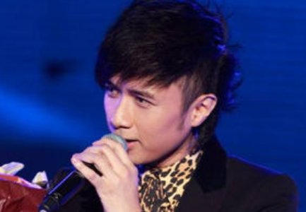 林夕重复犯错的意思