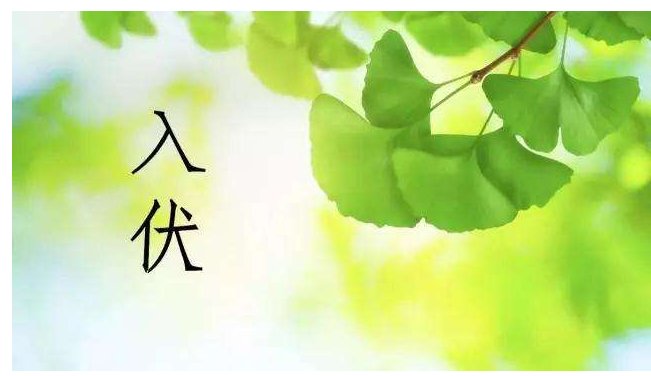 2019年入伏是哪天？