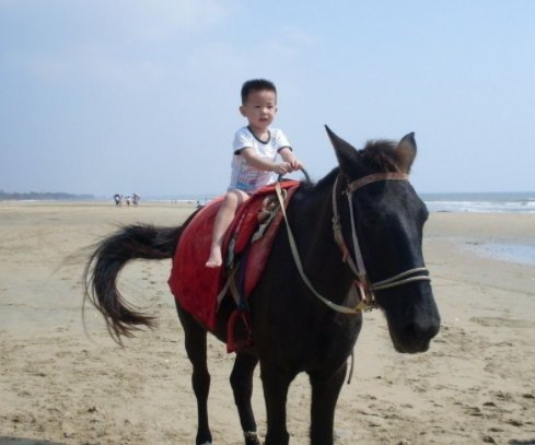 辽宁一男孩雪天骑马吃米线，骑马上路是种什么样的体验？