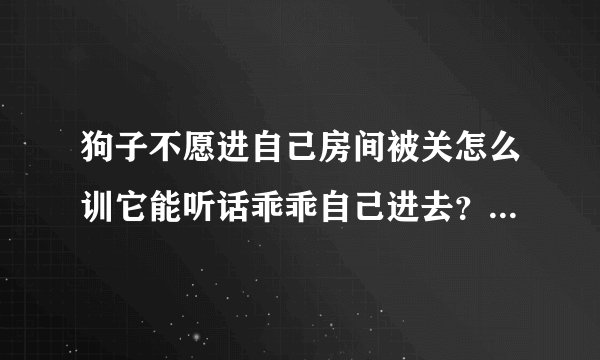 狗子不愿进自己房间被关怎么训它能听话乖乖自己进去？每次都是拖😄它知道一进去就被关就不原进