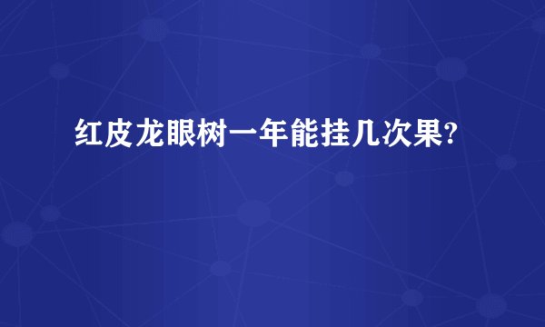 红皮龙眼树一年能挂几次果?