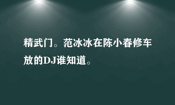 精武门。范冰冰在陈小春修车放的DJ谁知道。