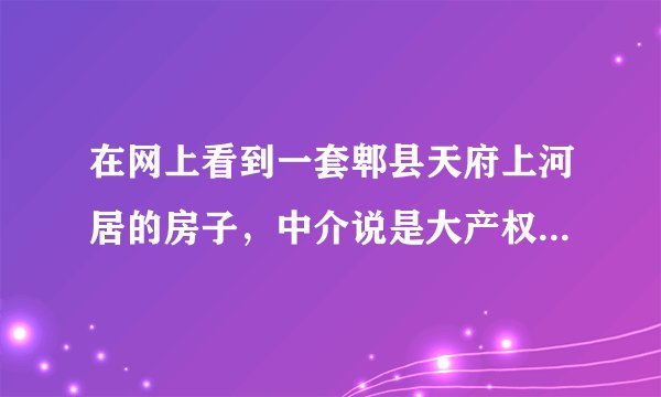 在网上看到一套郫县天府上河居的房子，中介说是大产权，我想知道，怎么去辨别那房子是不是大产权？？