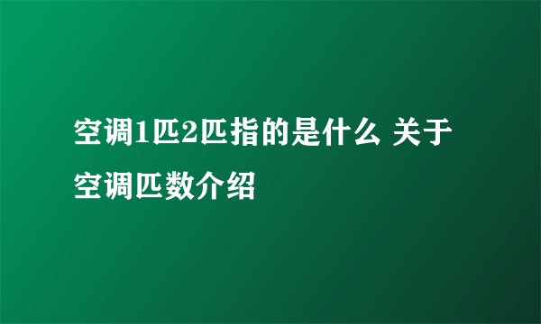 空调1匹2匹指的是什么 关于空调匹数介绍