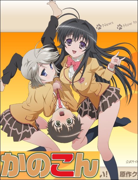 真夏的大谢肉祭的简介