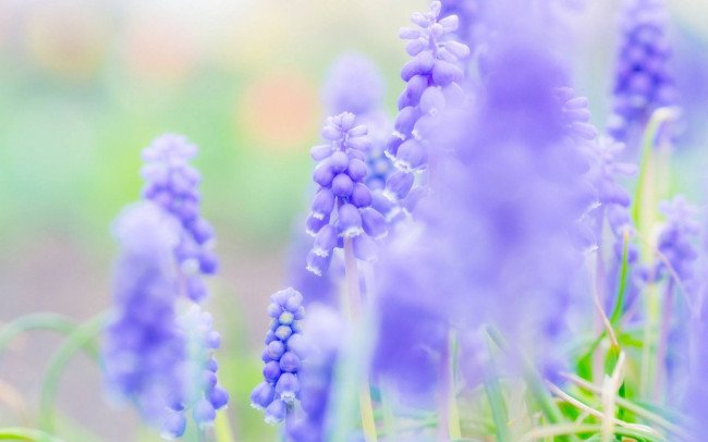 归来晚，浮云过尽艳阳天出自哪一首诗？