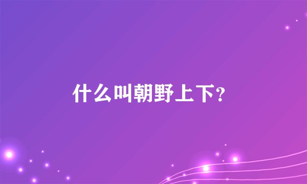 什么叫朝野上下？