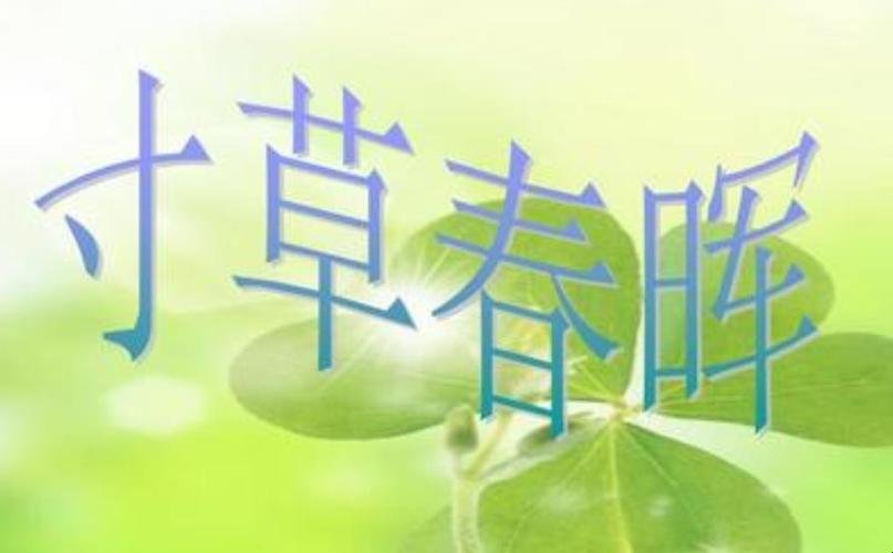 寸草春辉指的是什么生肖