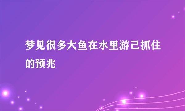 梦见很多大鱼在水里游己抓住的预兆
