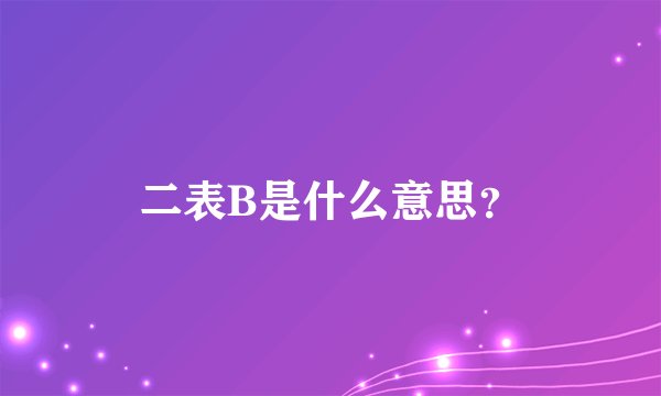 二表B是什么意思？
