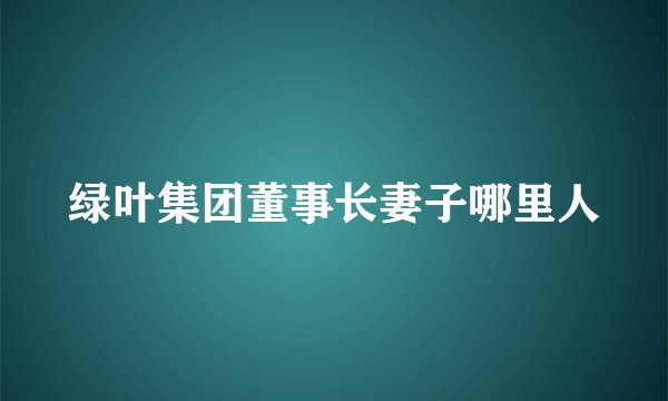 绿叶集团董事长妻子哪里人