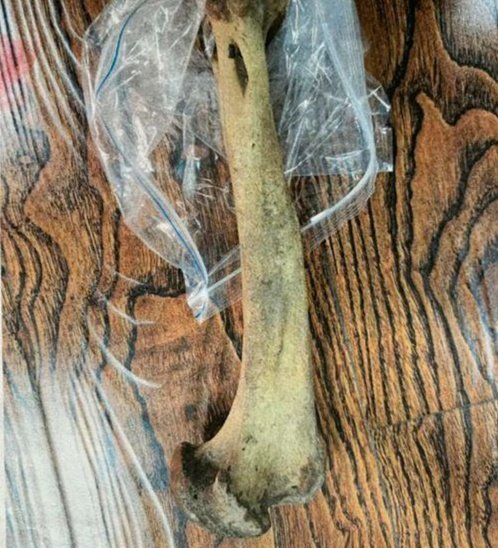 务工男拾虎骨带回国将会得到怎样的处罚？