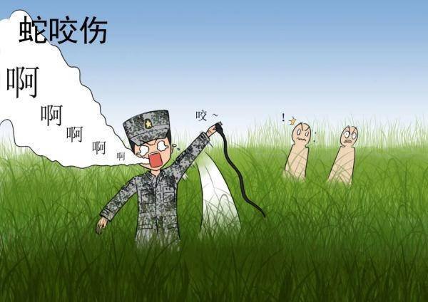 重庆女子江边散步被毒蛇咬伤，几分钟后便意识模糊，身体出现了哪些症状？