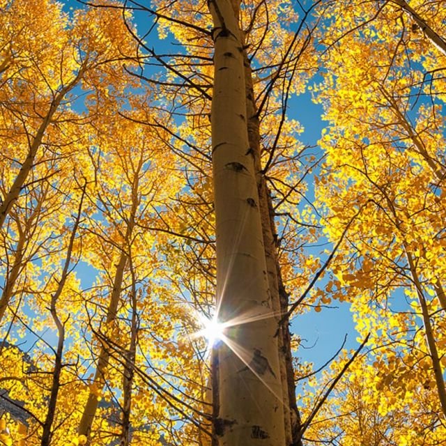 请问各种街舞的中文读音？