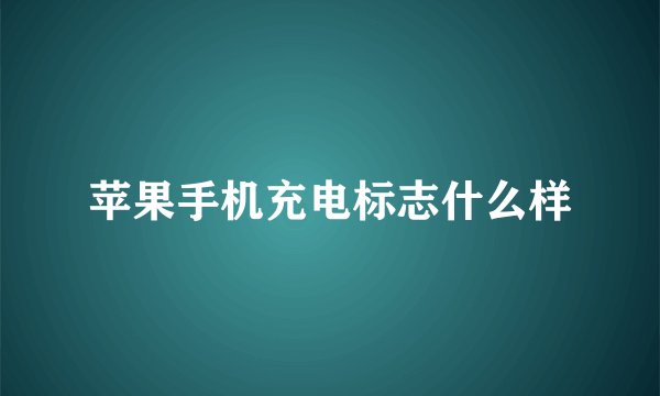 苹果手机充电标志什么样