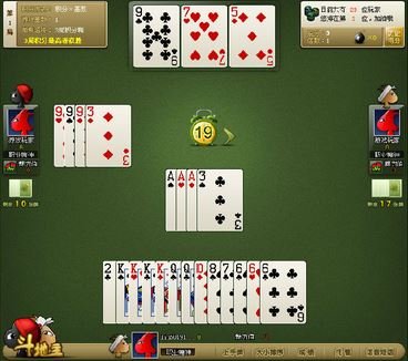 信阳黑七的介绍