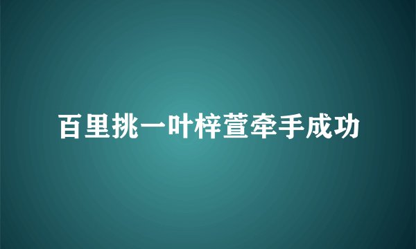百里挑一叶梓萱牵手成功
